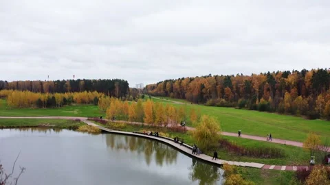 Captivating camera movement over a tranquil pond in an autumn park 動画素材 288251746
