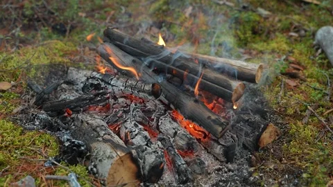 A captivating campfire Vidéo 296104611