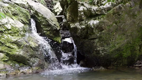 Captivating cascade flows peacefully down rocky embankment in forest setting Stock Footage 318171539