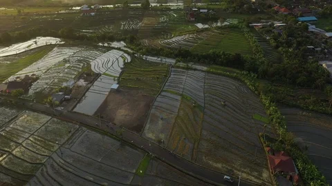 Captivating Cascading Rice Terraces Stock Footage 119861699