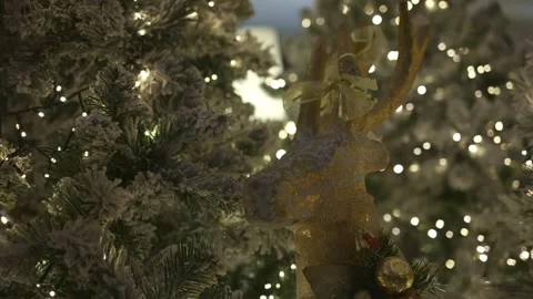 Captivating Christmas Magic: Up Close and Illuminated Stock Footage 252264357