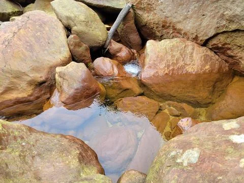 Captivating Close-up of a Babbling Brook Stock Photos