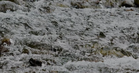 Captivating Close-Up: Slow-Motion Flow of River Current Through beautiful and Stock Footage 240939803