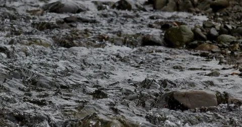 Captivating Close-Up: Slow-Motion Flow of River Current Through beautiful and Stock Footage 240940531