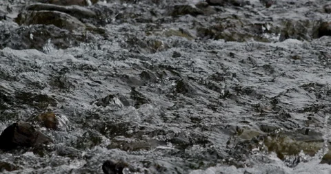 Captivating Close-Up: Slow-Motion Flow of River Current Through beautiful and Video stock 240940532