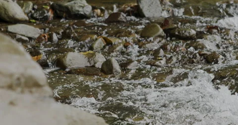 Captivating Close-Up: Slow-Motion Flow of River Current Through beautiful and Stock Footage 240940881