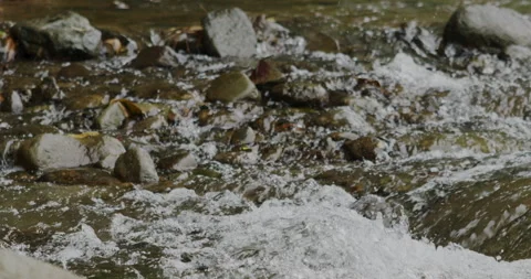 Captivating Close-Up: Slow-Motion Flow of River Current Through beautiful and Stock Footage 240940917