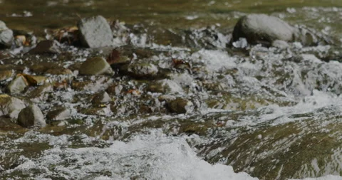 Captivating Close-Up: Slow-Motion Flow of River Current Through beautiful and Stock Footage 240940995