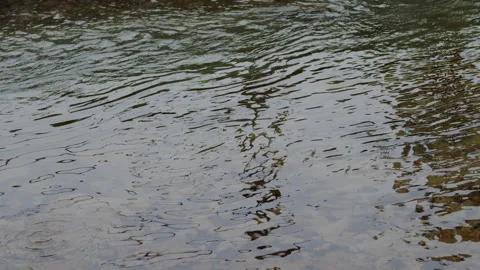 Captivating Close-Up: Slow-Motion Flow of River Current Through beautiful and Stock Footage 240941074