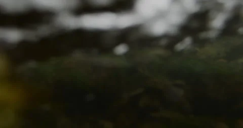 Captivating Close-Up: Slow-Motion Flow of River Current Through beautiful and Stock Footage 240941144