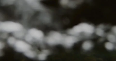 Captivating Close-Up: Slow-Motion Flow of River Current Through beautiful and Stock Footage 240941258