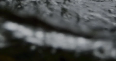 Captivating Close-Up: Slow-Motion Flow of River Current Through beautiful and Stock Footage 240942533