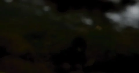 Captivating Close-Up: Slow-Motion Flow of River Current Through beautiful and Stock Footage 240944423