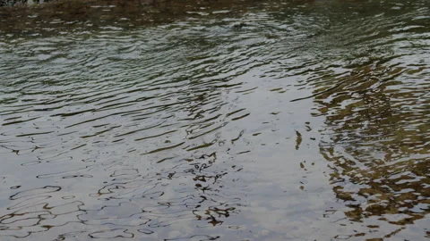 Captivating Close-Up: Slow-Motion Flow of River Current Through beautiful and Stock Footage 240945115