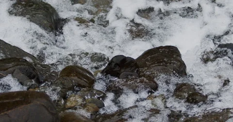 Captivating Close-Up: Slow-Motion Flow of River Current Through Stunning Rocks Stock Footage 240947821