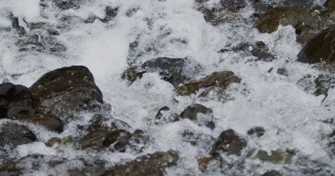 Captivating Close-Up: Slow-Motion Flow of River Current Through Stunning Rocks Stock Footage 240948098