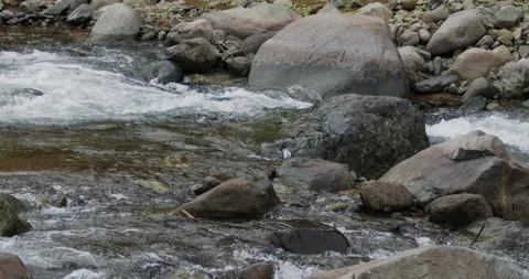 Captivating Close-Up: Slow-Motion Flow of River Current Through Stunning Rocks Stock Footage 240952518