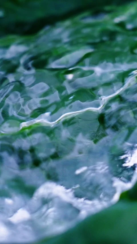 Captivating close-up of water gliding over lush green leaves in a serene natural Video stock 309019724