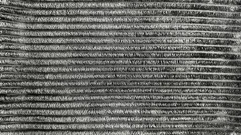 Captivating closeup view of textured horizontal ribbed fabric with wavy monoc Foto stock