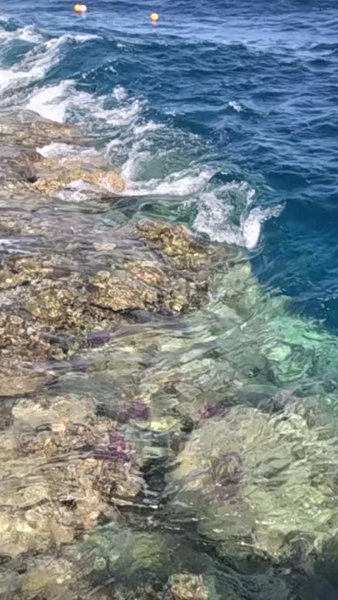 Captivating Coastal Waves and Clear Waters: A Serene View of the Ocean's Edge Video stock 330096892