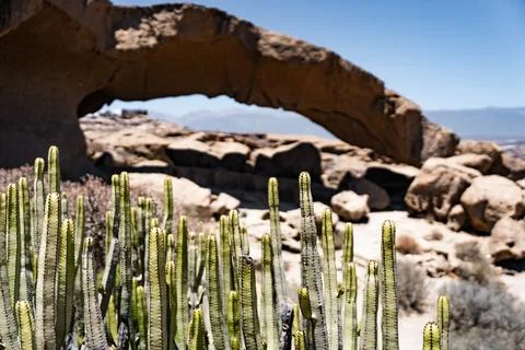 A captivating desert landscape featuring unique rock formations, cacti, Stock Photos