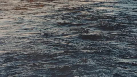 Captivating evening waves rolling gently on the shoreline at sunset Stock Footage 291642355