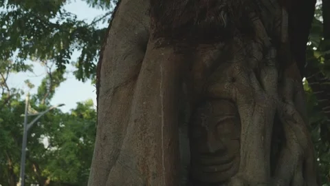 Captivating Face Sculpture Grown Within Tree Trunk, Cambodia Stock Footage 273337227
