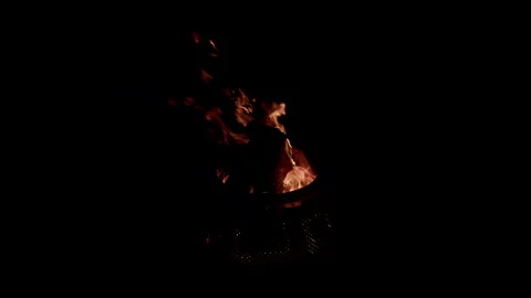 A Captivating Fire in the Deep Darkness  Bringing Warmth and Light to the Night Stock Footage 310570492