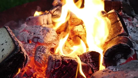 Captivating fire flames dancing over glowing embers during outdoor gathering Stock Footage 317955973