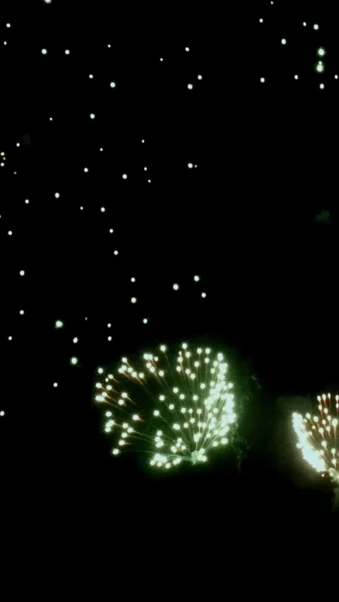 Captivating fireworks light up the night sky above the city skyline Stock Footage 299459534