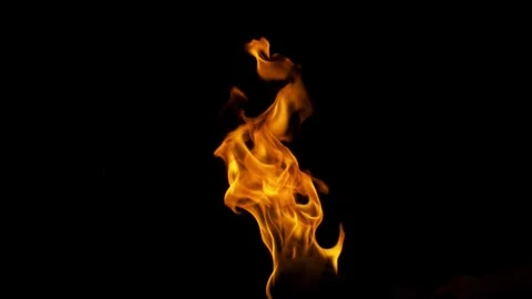 Captivating Flame Against a Dark Background in Dramatic Contrast and Beauti.. Video stock 341920305