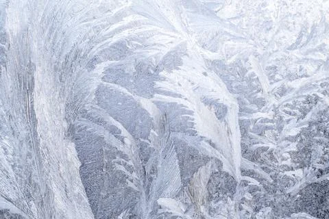 Captivating frost patterns on a windowpane in soft winter lighting Stock Photos