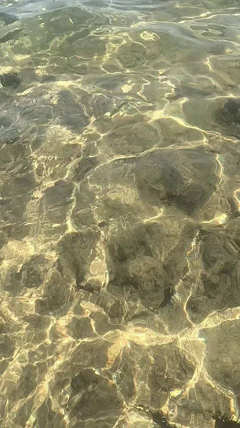 Captivating Glimpses of Tranquil Water Patterns Beneath the Surface Highlighting Video stock 330096314