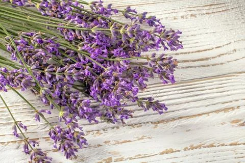 This captivating image features a delicate bouquet of lavender displayed on a Stock Photos