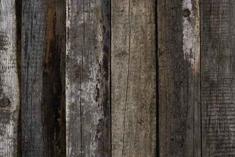 A captivating image of weathered pine planks neatly aligned in rows, displa.. Stock Photos