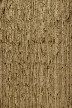 A captivating image of weathered pine planks. Stock Photos