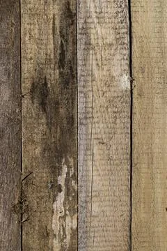 A captivating image of weathered pine planks neatly aligned in rows, displa.. Stock Photos