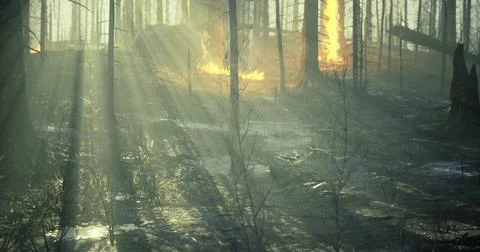 Captivating light rays penetrate forest as fire spreads through dry foliage Illustrazione stock
