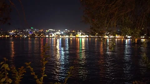 Captivating Night Reflection Over Calm Water with Vibrant City Lights and Lush Stock Footage 317906388