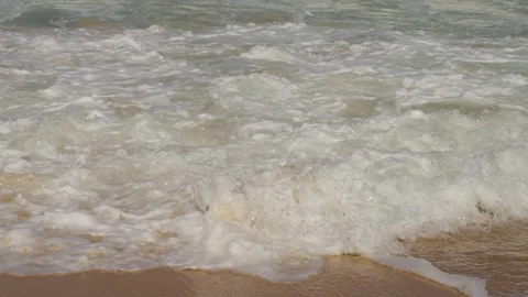Captivating Ocean Waves Lapping Against the Sandy Shoreline: A Serene Encounter Vídeos de archivo 310055604