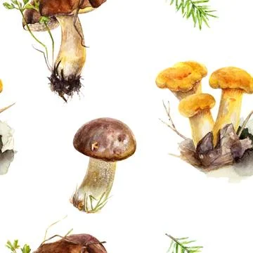 Captivating pattern of forest mushrooms and berries for a wild and elegant Illustrazione stock