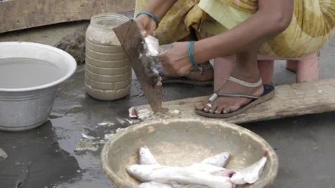 Captivating the Process - A Woman's Artistry with Fish Stock Footage 320951256