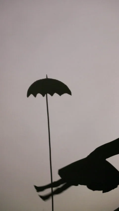 Captivating shadow puppetry performance with dramatic movements and props Stock Footage 284432985