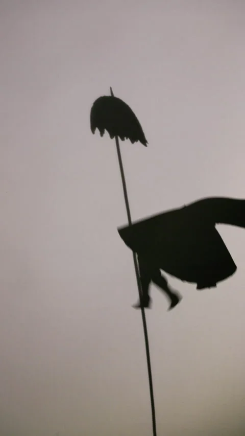 Captivating shadow puppetry performance in motion Video stock 277038996