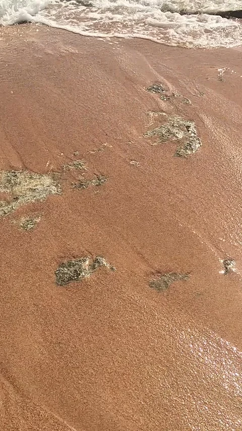Captivating Shoreline Scene: Waves Surging Over Rocky Outcrops on a Sandy Beach, 库存影片 330094967
