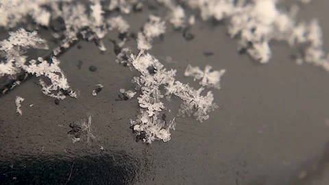 Captivating Snowflakes on a Black Background: A Stunning Display of Nature's Art Stock Footage 293684560