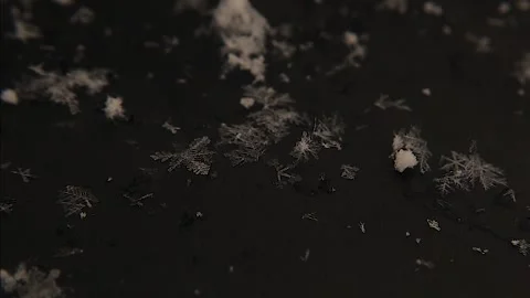 Captivating Snowflakes on a Black Background: A Stunning Display of Nature's Art Stock Footage 293699798