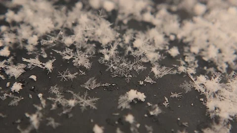 Captivating Snowflakes on a Black Background: A Stunning Display of Nature's Art Stock Footage 293700441