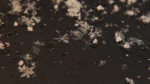 Captivating Snowflakes on a Black Background: A Stunning Display of Nature's Art Stock Footage 293704852