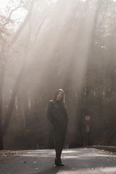 Captivating Solemnity in a Sunlit Forest Path Stock Photos